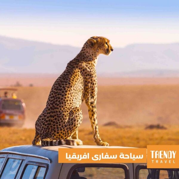 سياحة سفارى افريقيا